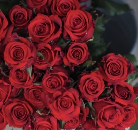 Valentines Rose Bouquet