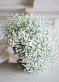 Gypsophila Bridal Bouquet